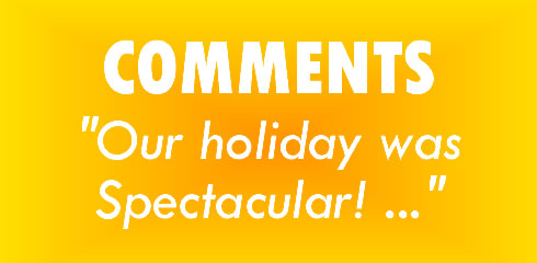 Comments Services